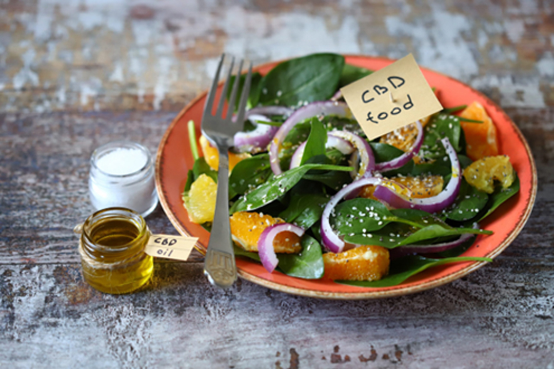 You are currently viewing CBD-Infused Recipes: Healthy and Delicious Treats