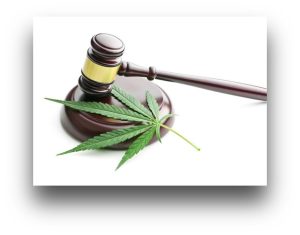 Read more about the article CBD and Hemp Regulatory Changes: A Modern Adaptation