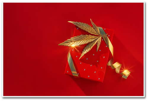 A stress free CBD Christmas gift