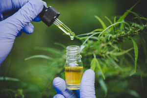 Read more about the article CBD Is Not Going Away. But the Industry Is About to Change.